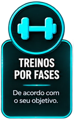 Treinos por fases, de acordo com o seu objetivo